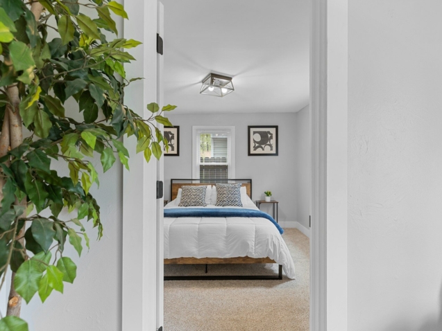 a bedroom with a bed and a plant in the corner
